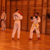 egzamin Taekwondo 069
